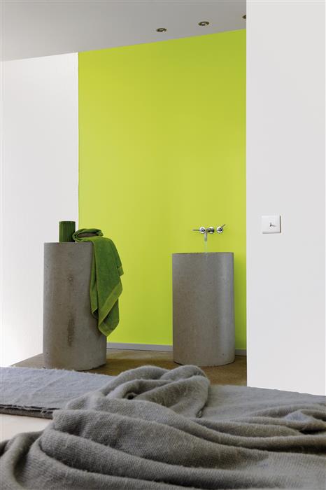 Salle de bain réalisée avec de la peinture murale intérieure pour pièces humides de couleurs blanche et vert tonique et de couleur grise pour le plafond
