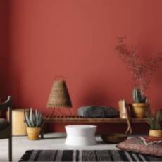 Sala de estar com parede pintada de castanho alaranjado